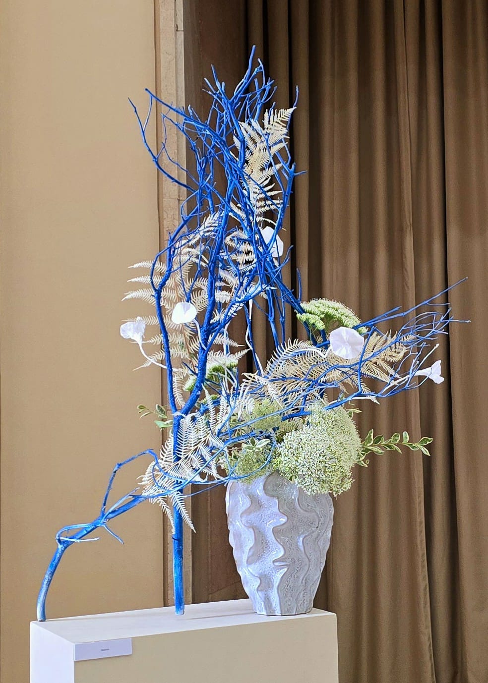 IMG-20251109-WA0024